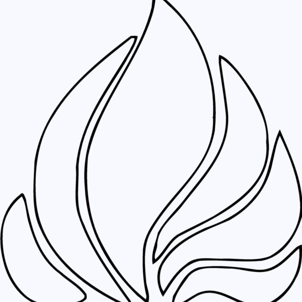 DESIGN55 Thumbnail