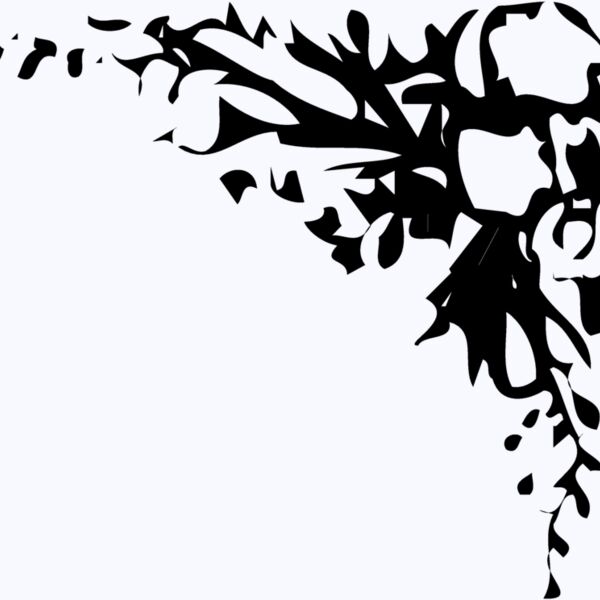 BRDR038 Thumbnail
