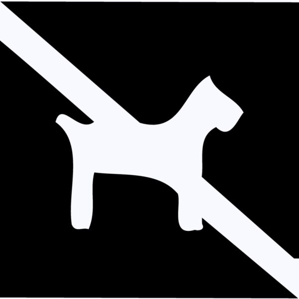 NODOG Thumbnail