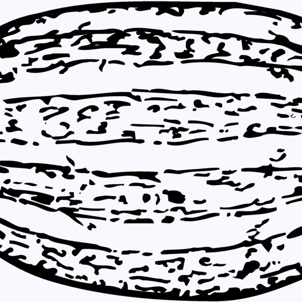 FRUIT001 Thumbnail
