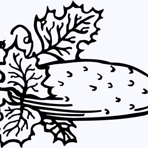 FRUIT002 Thumbnail