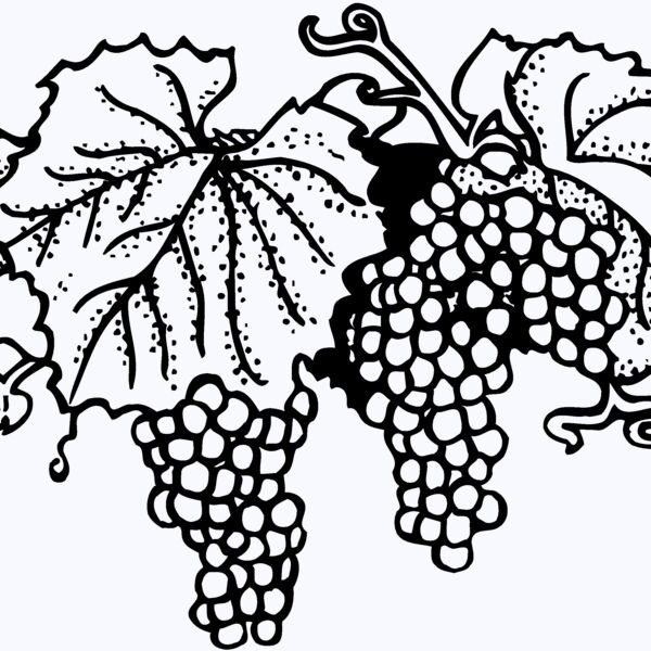FRUIT005 Thumbnail