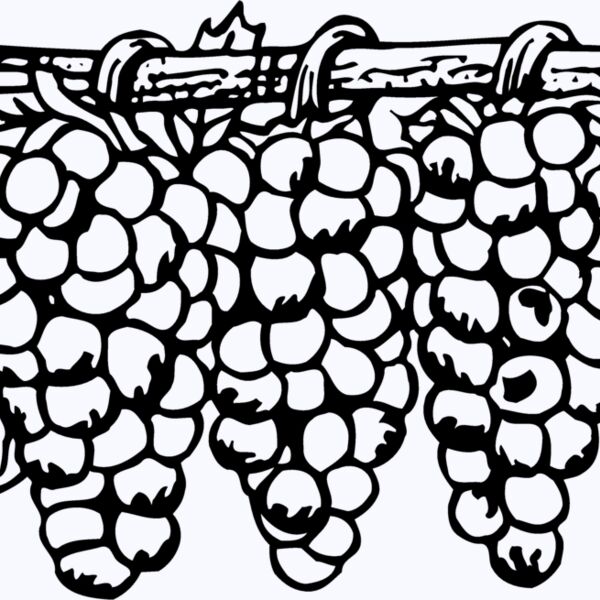 FRUIT015 Thumbnail