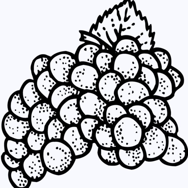 FRUIT016 Thumbnail