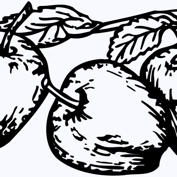 FRUIT018 Thumbnail
