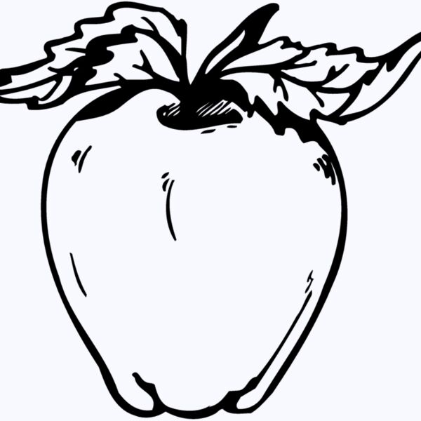 FRUIT021 Thumbnail