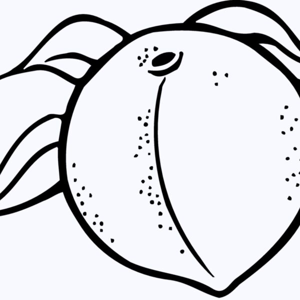 FRUIT023 Thumbnail