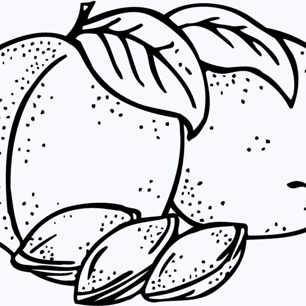 FRUIT025 Thumbnail