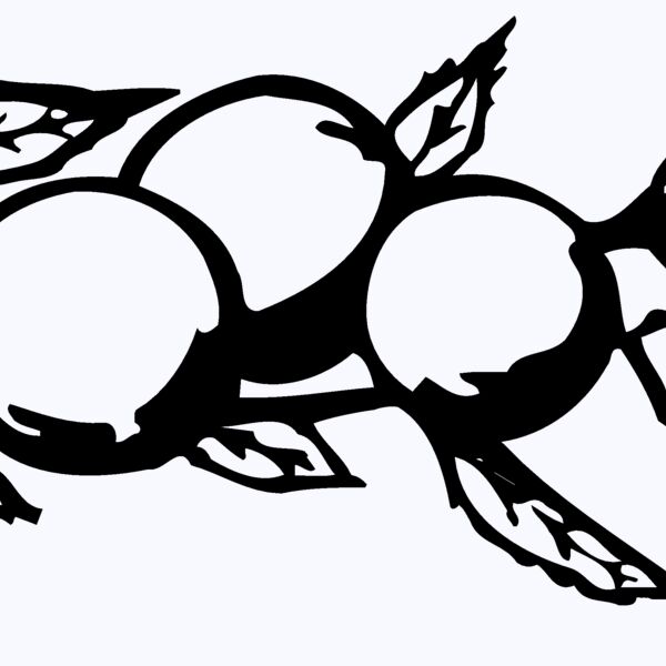 FRUIT028 Thumbnail