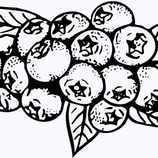 FRUIT037 Thumbnail