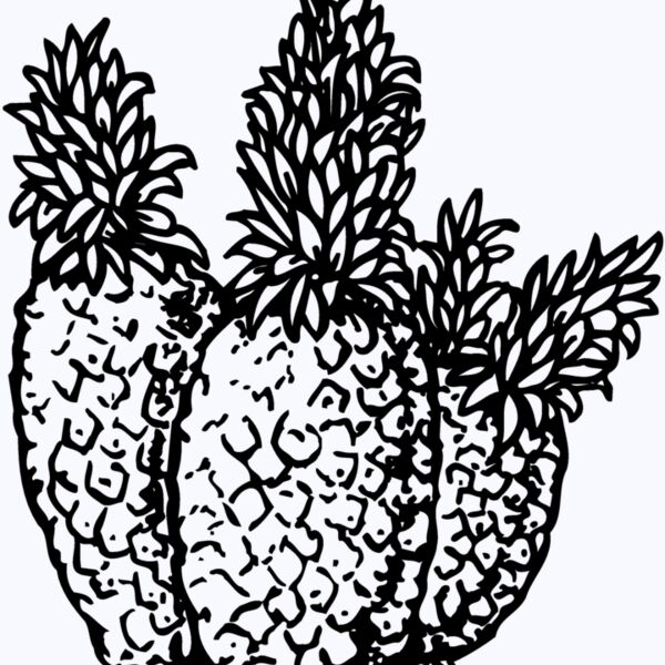 FRUIT039 Thumbnail
