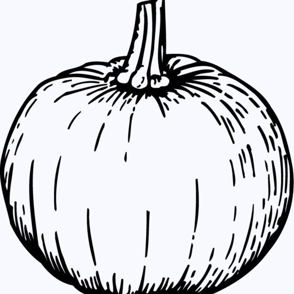 FRUIT040 Thumbnail