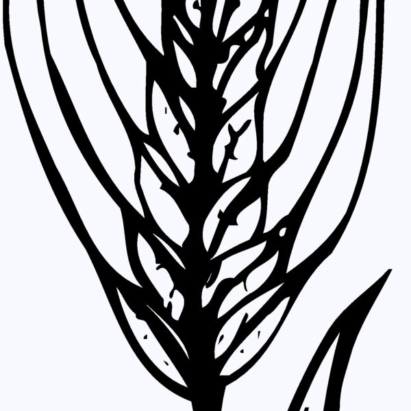 GRAIN009 Thumbnail