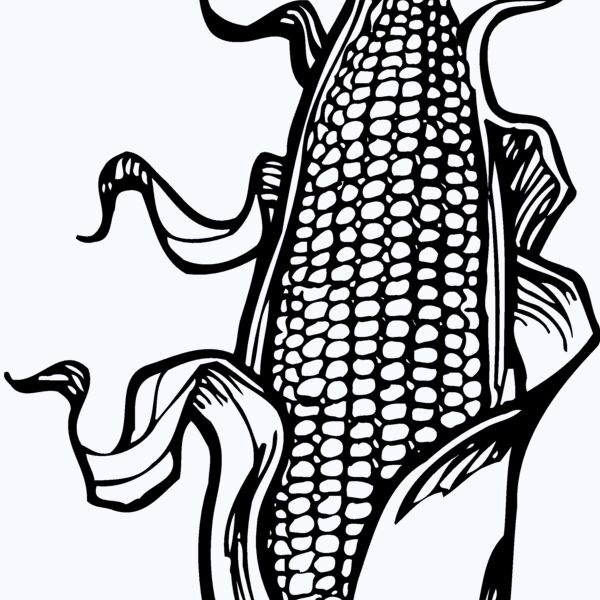 GRAIN012 Thumbnail