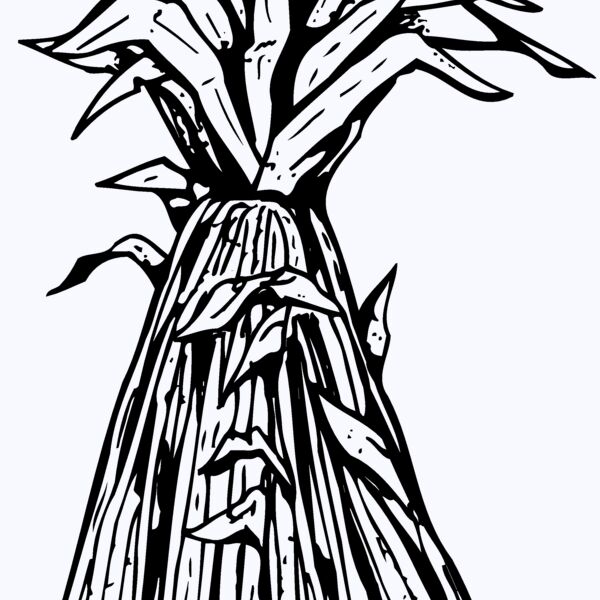 GRAIN014 Thumbnail