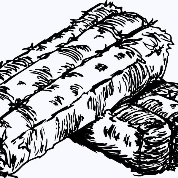 HAY003 Thumbnail