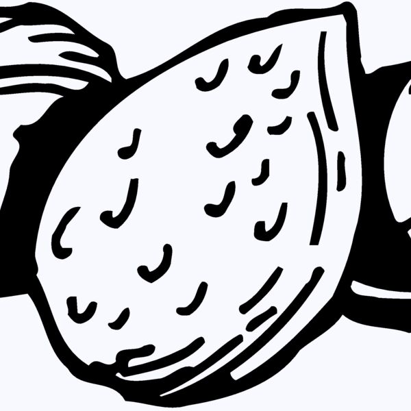 NUT002 Thumbnail