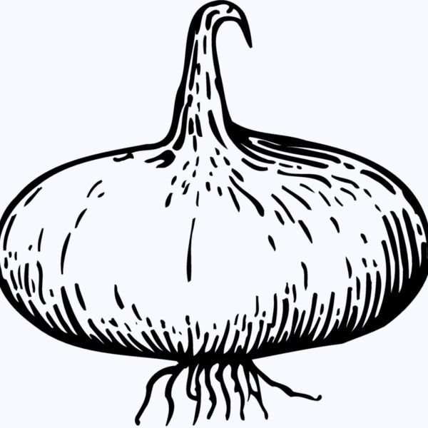 VEG004 Thumbnail