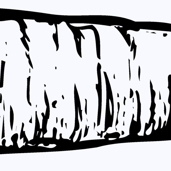 VEG010 Thumbnail
