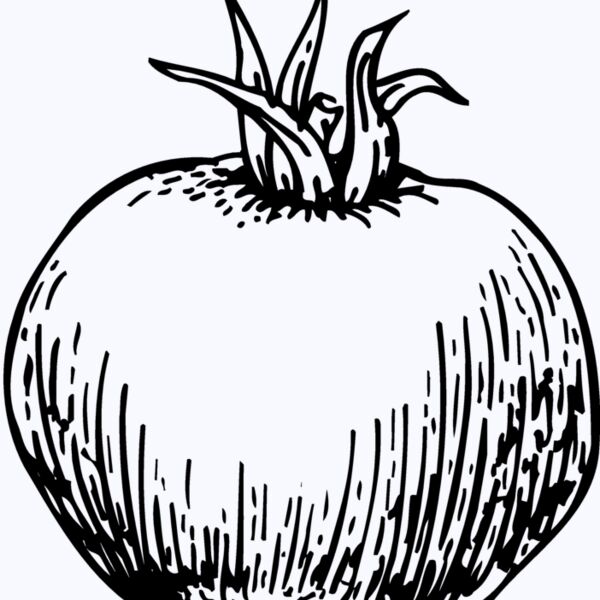 VEG014 Thumbnail