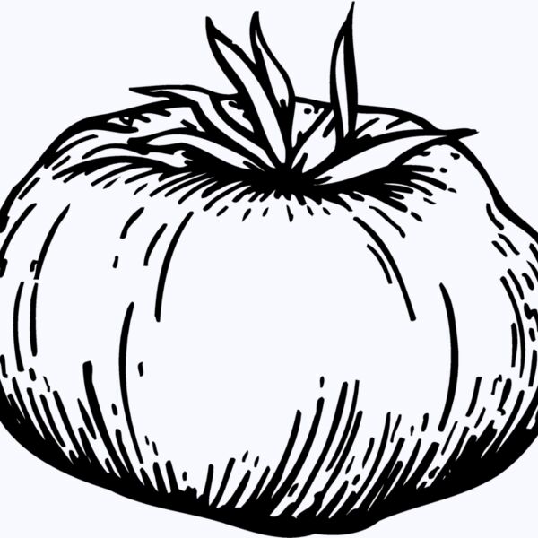 VEG015 Thumbnail