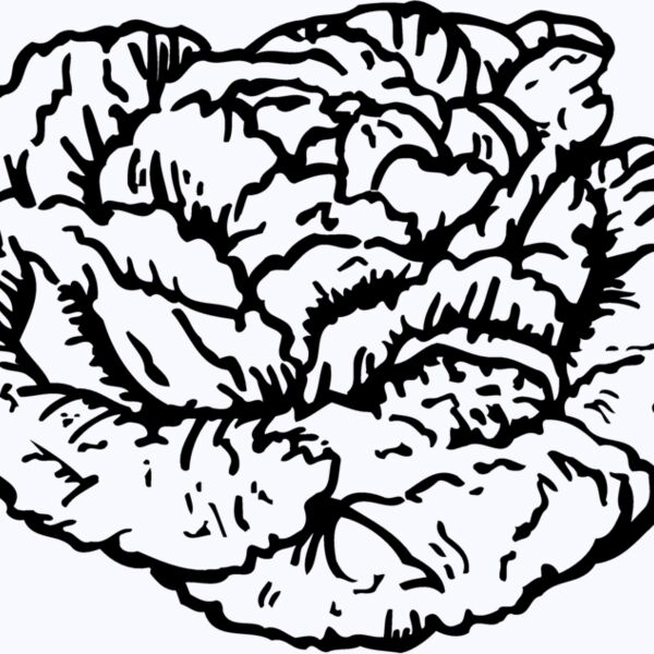 VEG016 Thumbnail