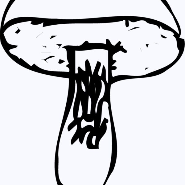 VEG028 Thumbnail