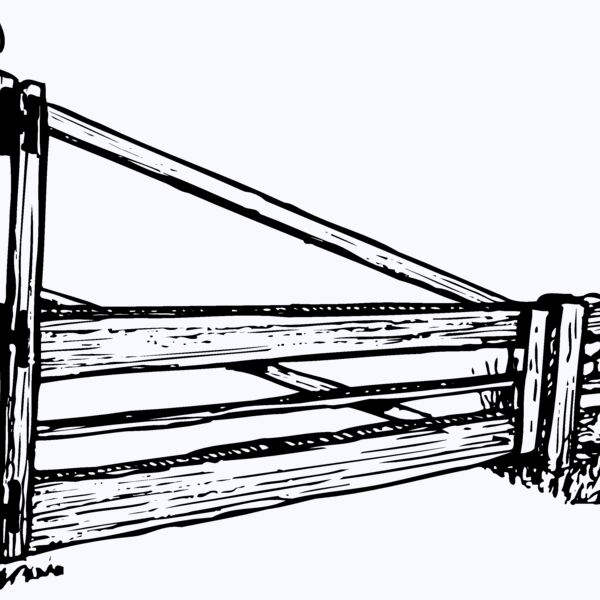 F0009 Thumbnail
