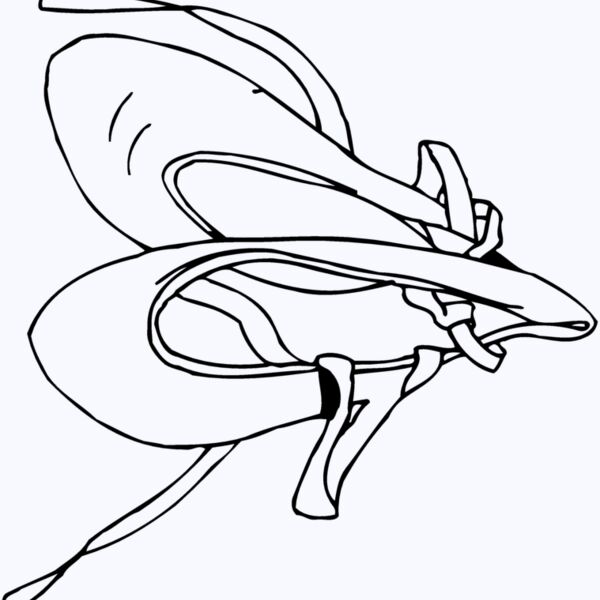 SHOE07 Thumbnail