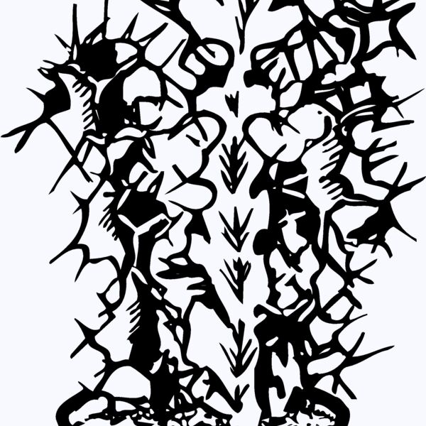 CACTUS04 Thumbnail