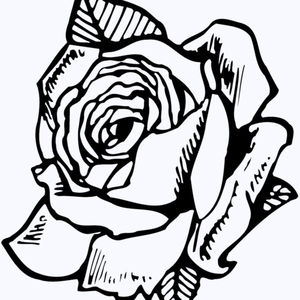 FLOWER03 Thumbnail