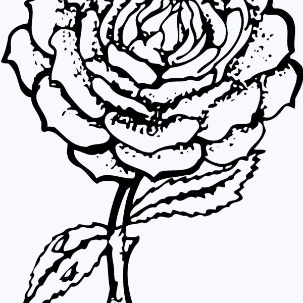 FLOWER05 Thumbnail