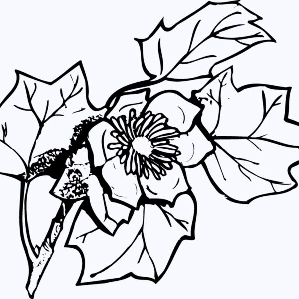 FLOWER09 Thumbnail