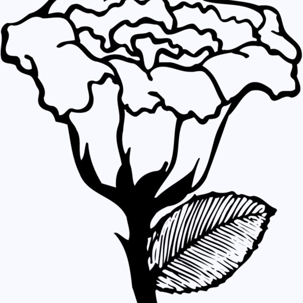 FLOWER10 Thumbnail