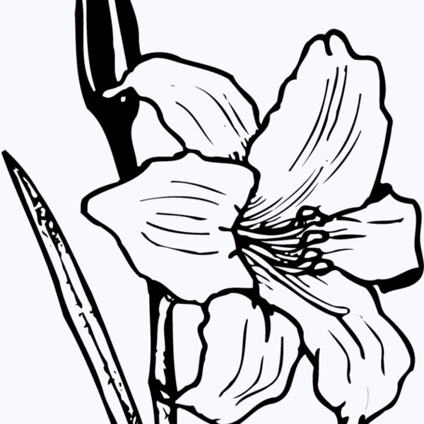 FLOWER12 Thumbnail