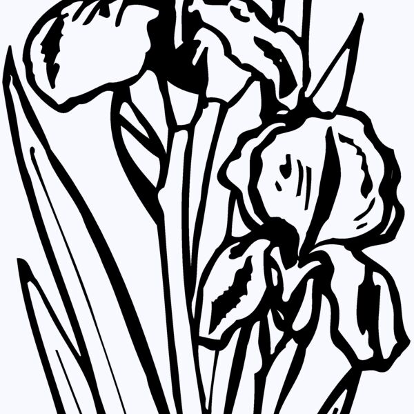 FLOWER20 Thumbnail