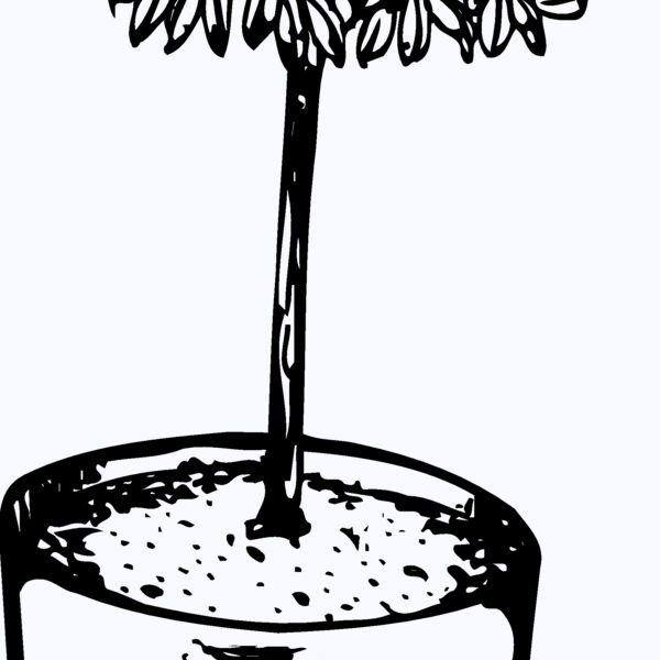 PLANT01 Thumbnail