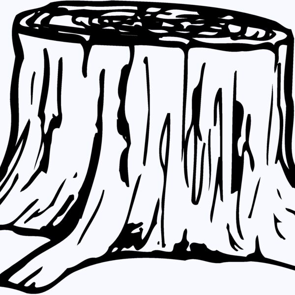 TIMBER07 Thumbnail
