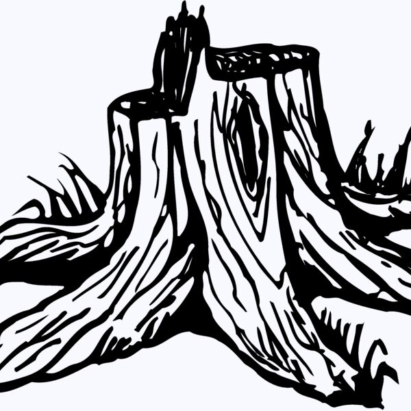 TIMBER09 Thumbnail