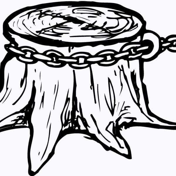 TIMBER15 Thumbnail