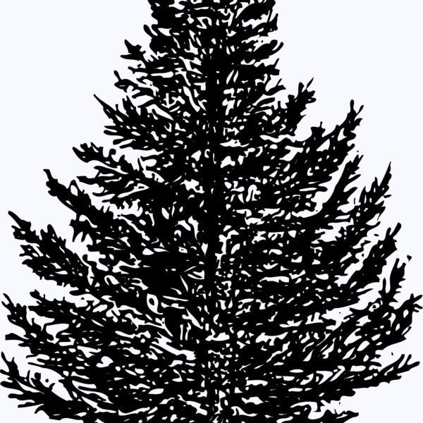 TREE0005 Thumbnail