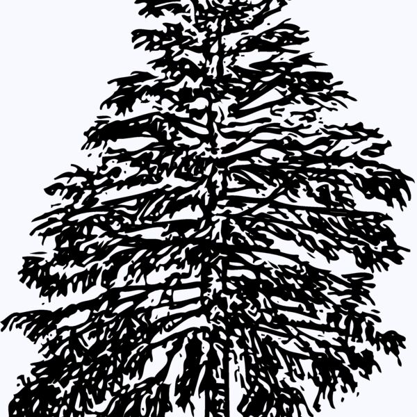 TREE0009 Thumbnail
