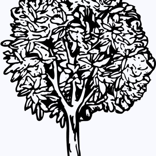 TREE0014 Thumbnail