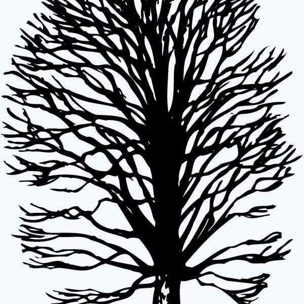 TREE0019 Thumbnail