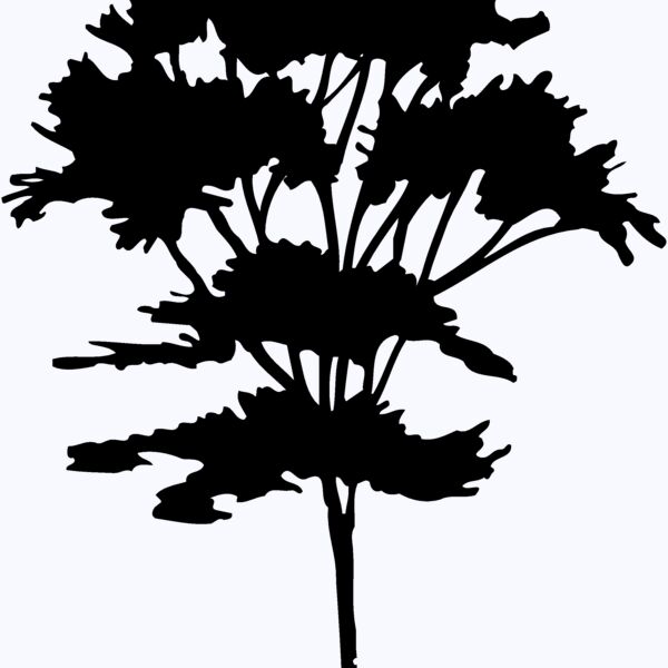 TREE0025 Thumbnail