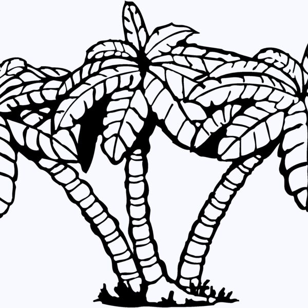 TREE0029 Thumbnail