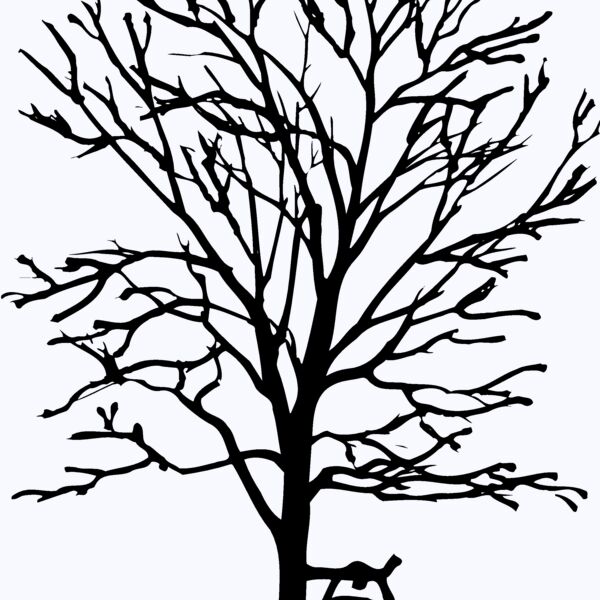 TREE0034 Thumbnail