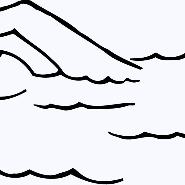 SWIM15 Thumbnail
