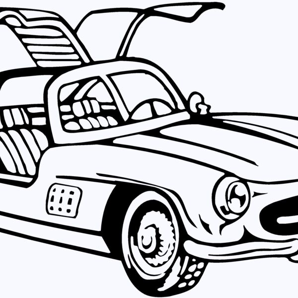 SPT0020 Thumbnail
