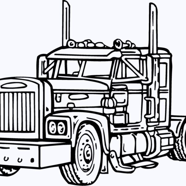 CAB13 Thumbnail